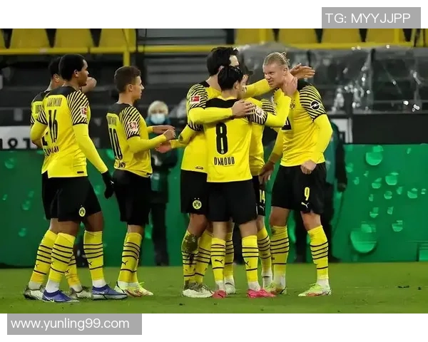 澳超精彩对决惠灵顿凤凰迎战布里斯班狮吼争夺胜利荣耀