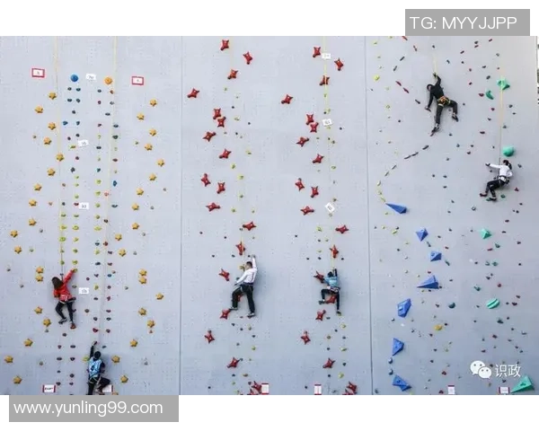 深度分析上海攀岩队的战术布局与控制技巧解析